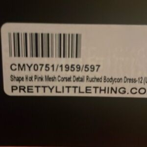 Shape Hot Pink Mesh Corset Detail Ruched Bodycon Dress